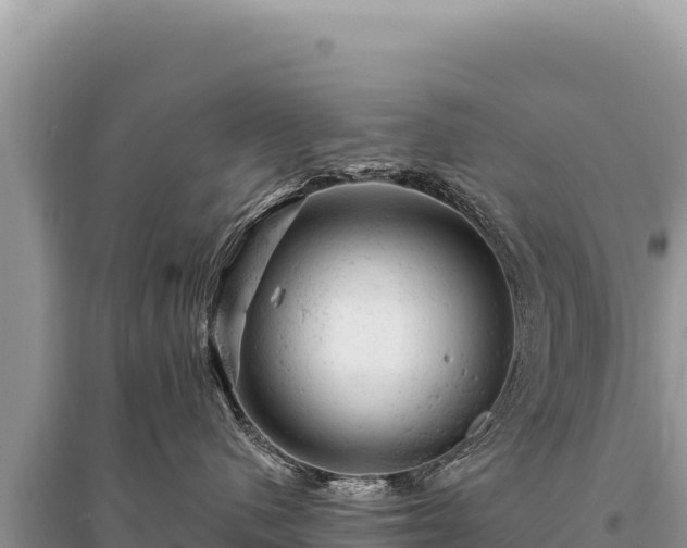 X0000095510480200712211244