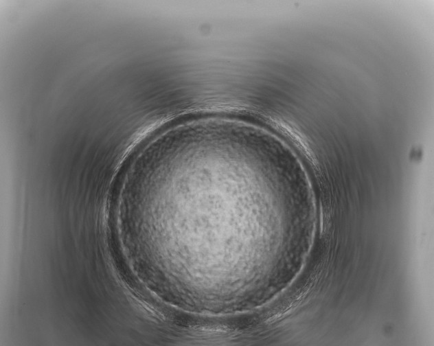 X0000095510483200712211243