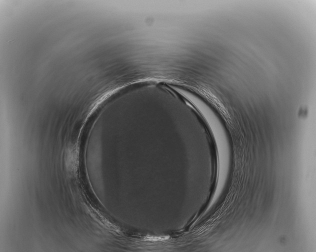 X0000095510484200712211243