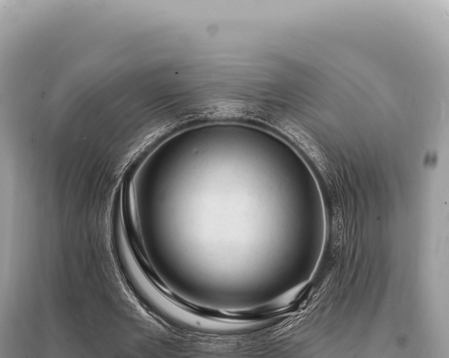 X0000095510485200712211243