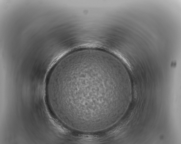X0000095510486200712211243