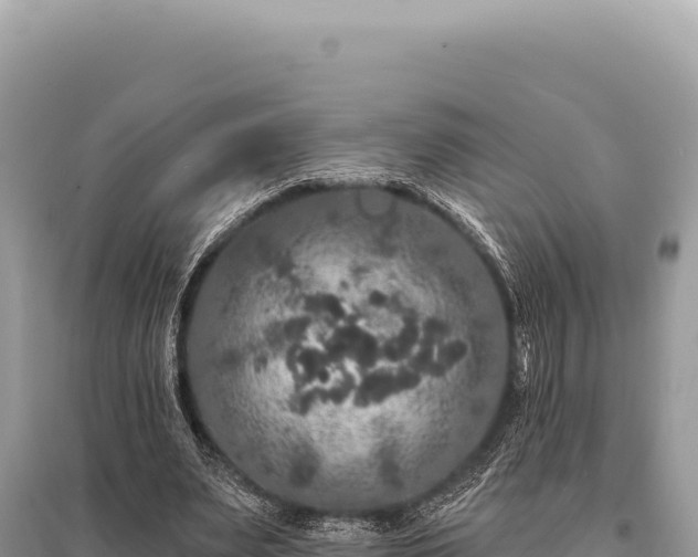 X0000095510487200712211243