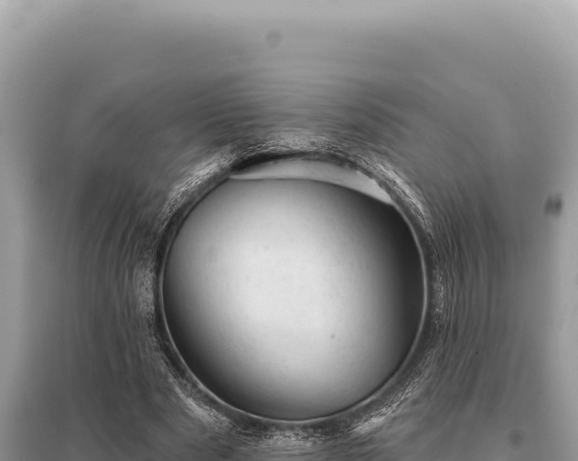 X0000095510489200712211243