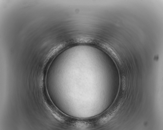 X0000095510490200712211243