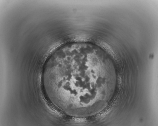 X0000095510491200712211243