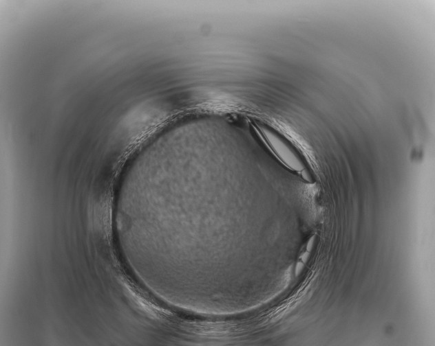 X0000095510493200712211243