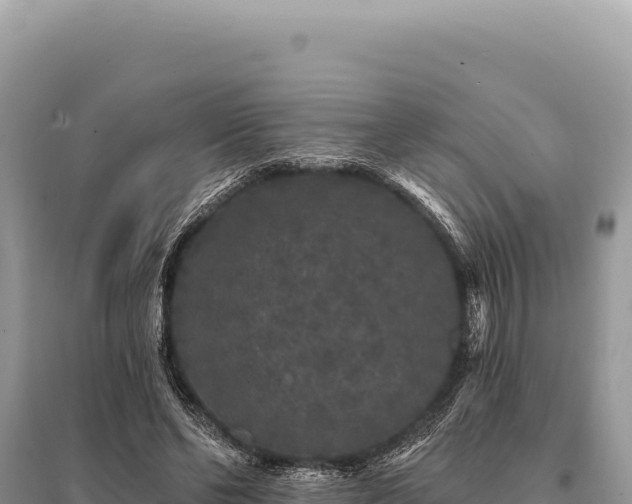 X0000095510494200712211243