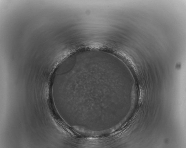 X0000095510496200712211243