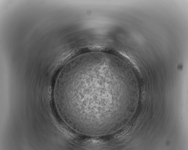 X0000095510498200712211243
