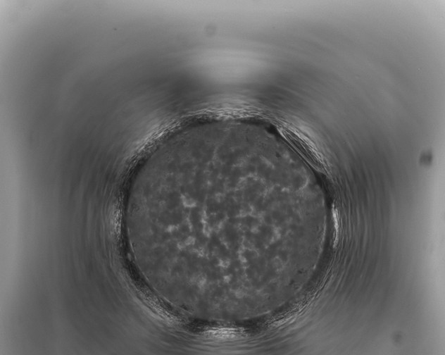 X0000095510499200712211243