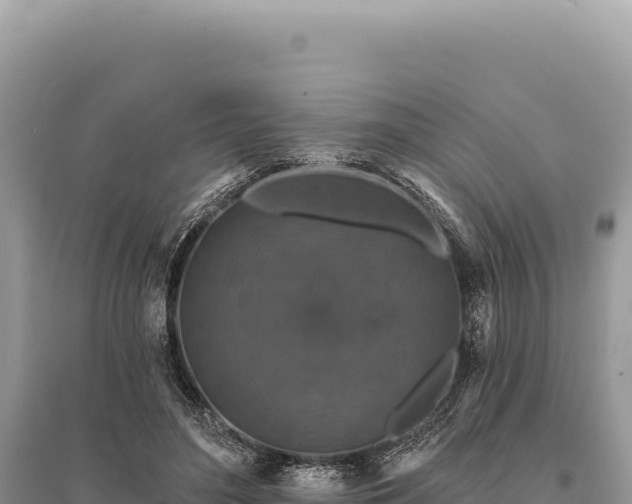 X0000095510500200712211243