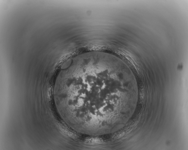 X0000095510503200712211243