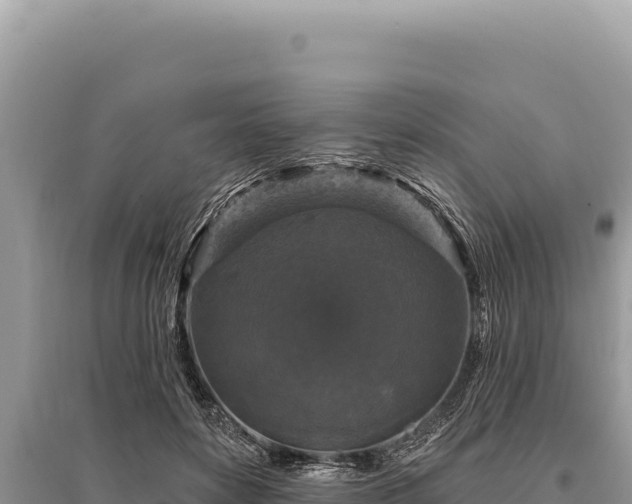 X0000095510504200712211243