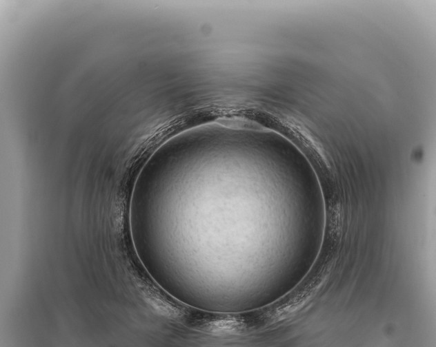 X0000095510505200712211243