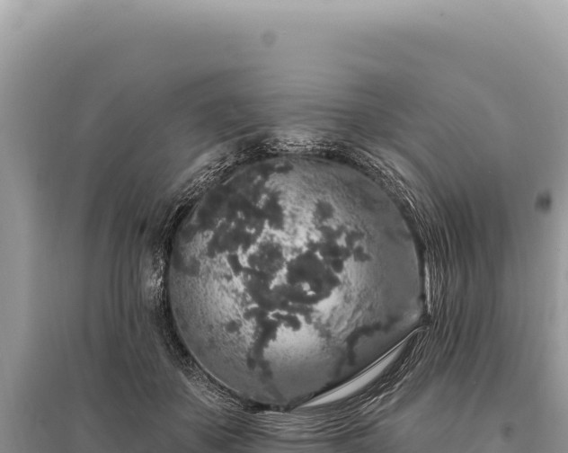 X0000095510507200712211243