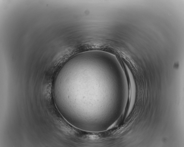 X0000095510509200712211243