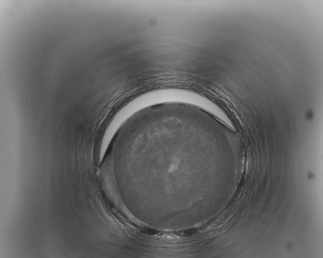 X0000095510512200712211243