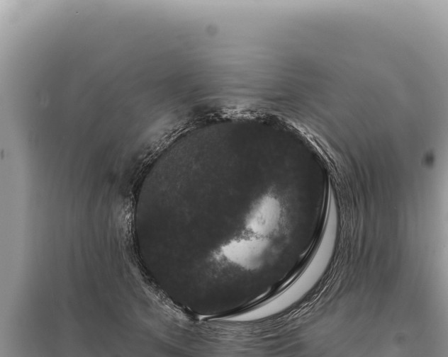 X0000095510513200712211243