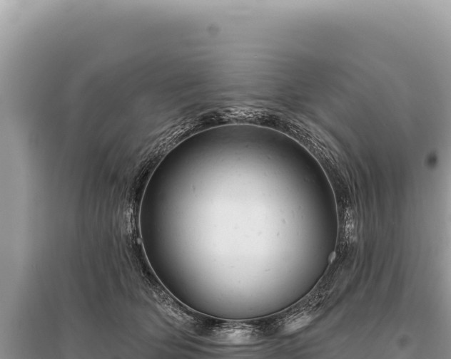 X0000095510514200712211243