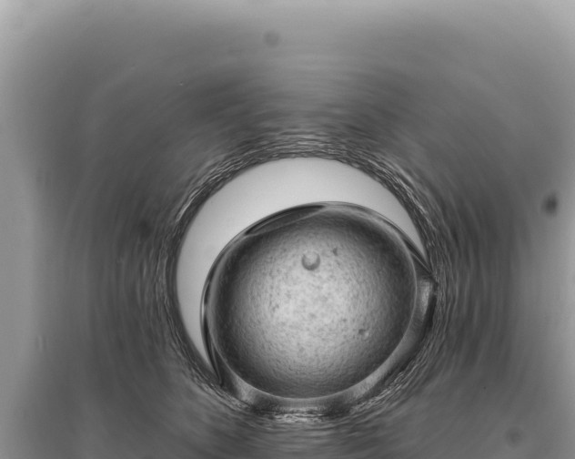X0000095510516200712211243