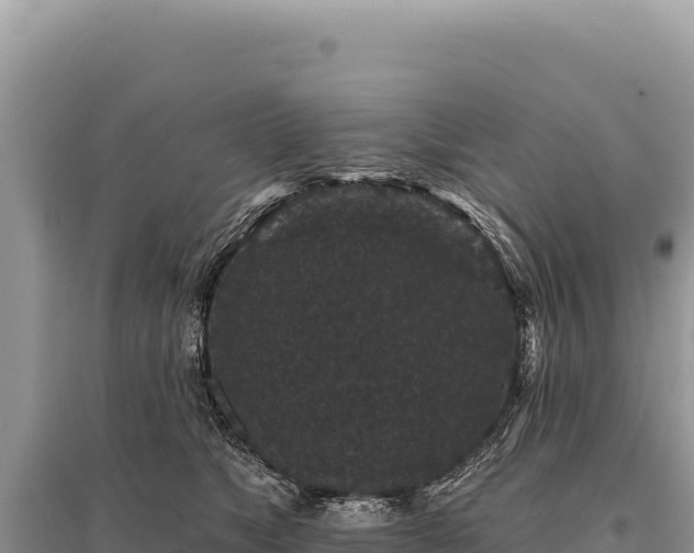 X0000095510517200712211243