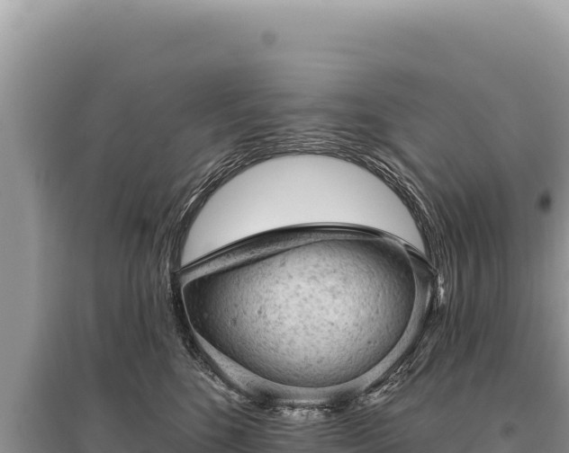 X0000095510520200712211243