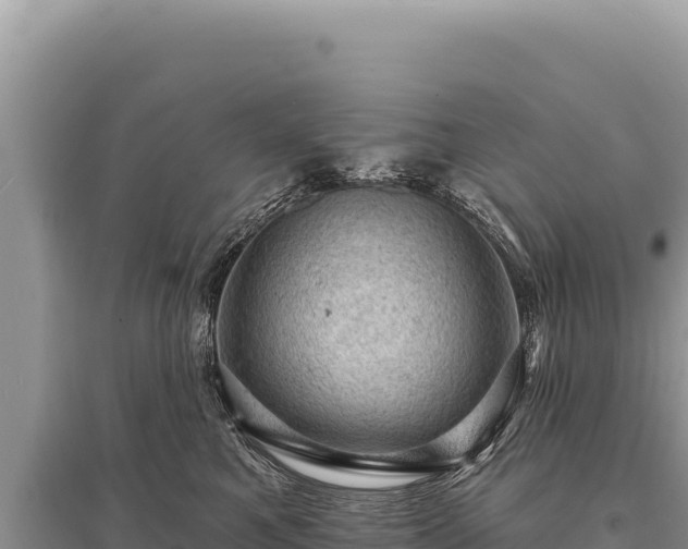 X0000095510521200712211243