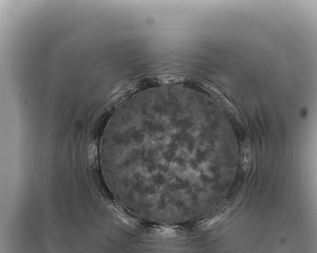 X0000095510523200712211243