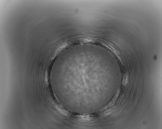 X0000095510524200712211243