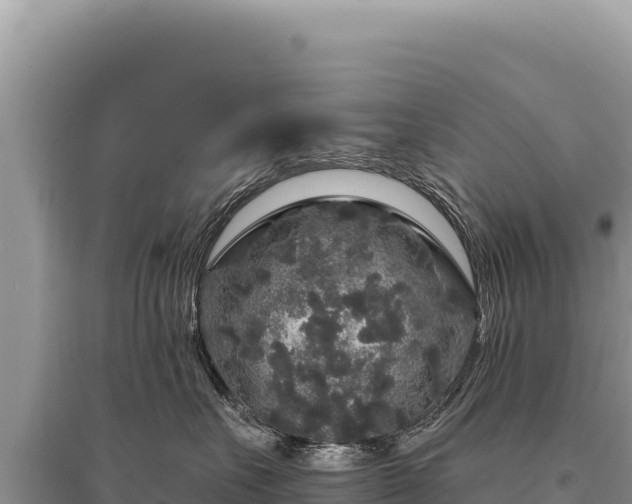 X0000095510527200712211243