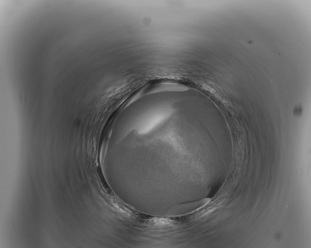 X0000095510528200712211243