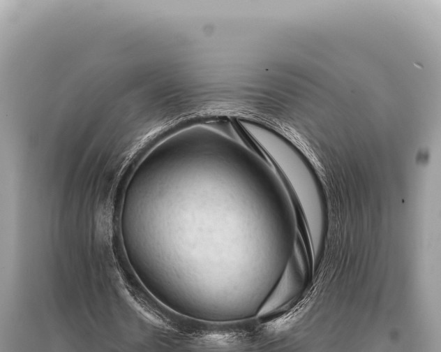 X0000095510530200712211242