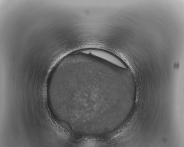 X0000095510531200712211242