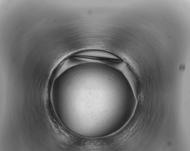 X0000095510532200712211242