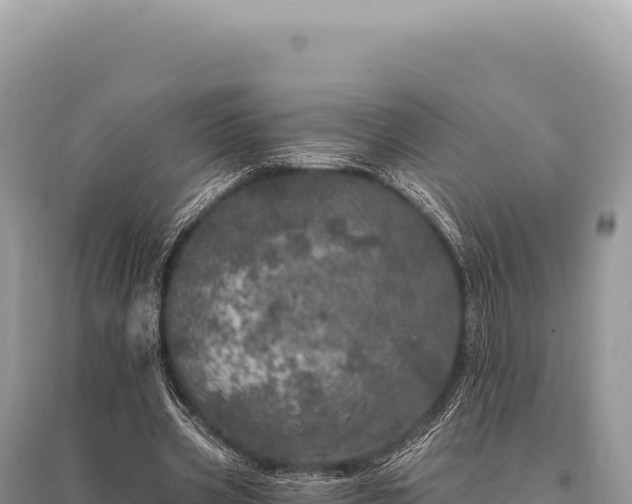 X0000095510533200712211242