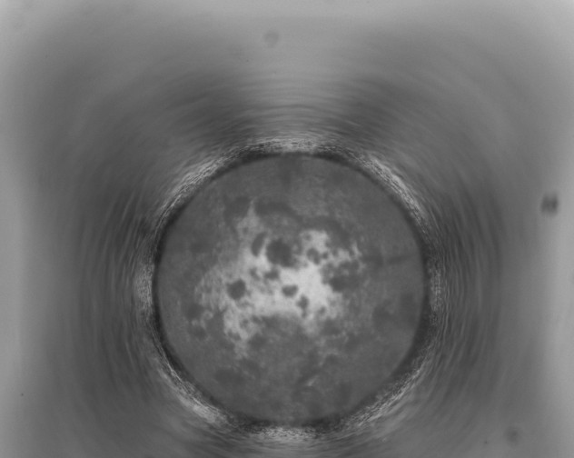 X0000095510537200712211242