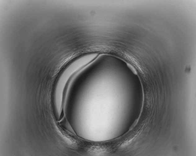 X0000095510538200712211242