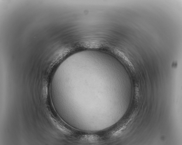 X0000095510541200712211242