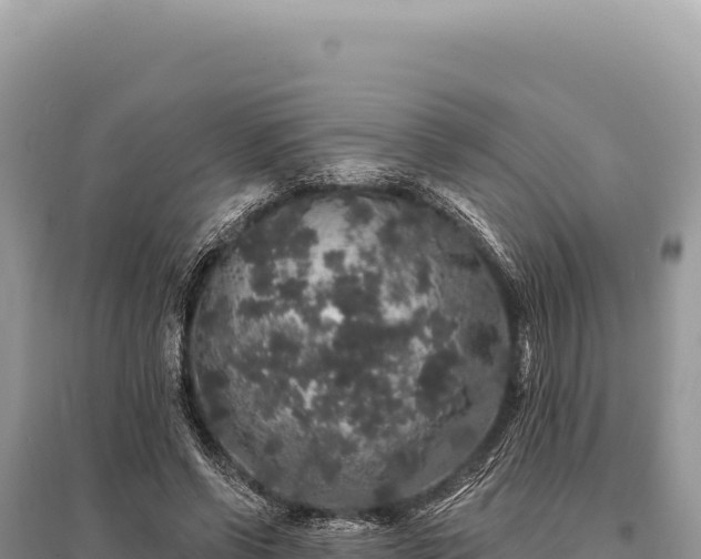 X0000095510542200712211242