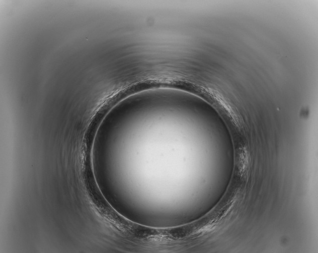 X0000095510544200712211242