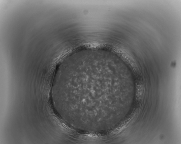 X0000095510545200712211242