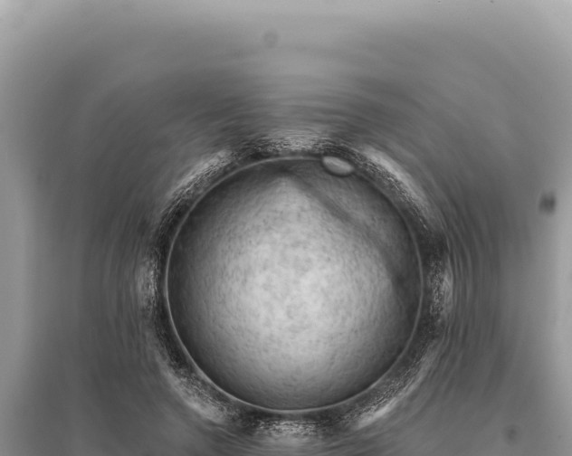 X0000095510546200712211242