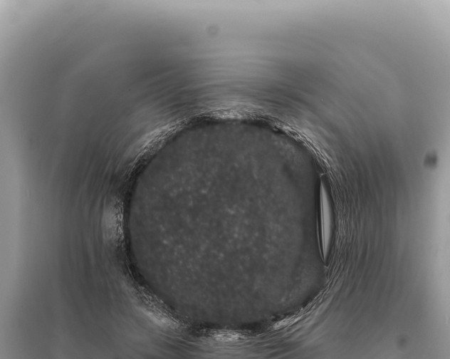 X0000095510547200712211242