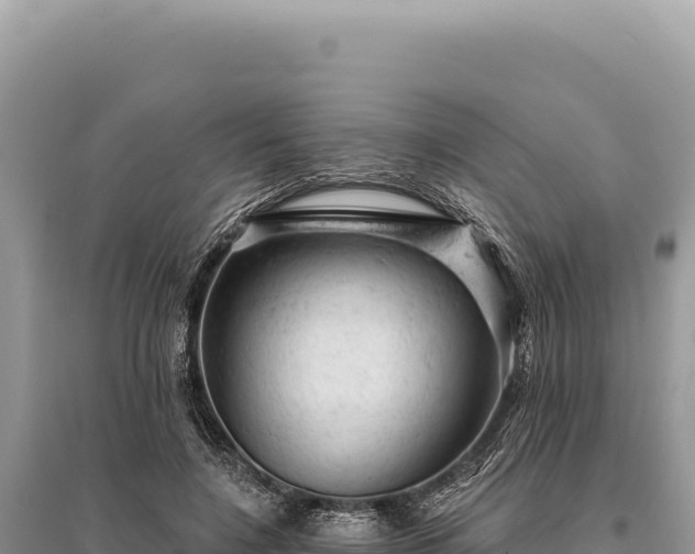 X0000095510548200712211242