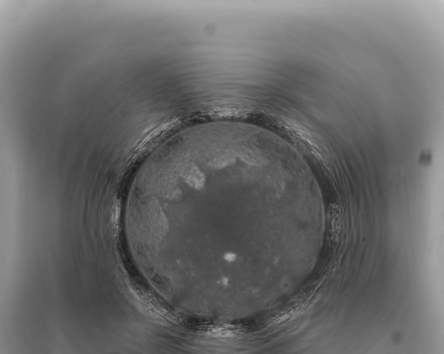 X0000095510550200712211242