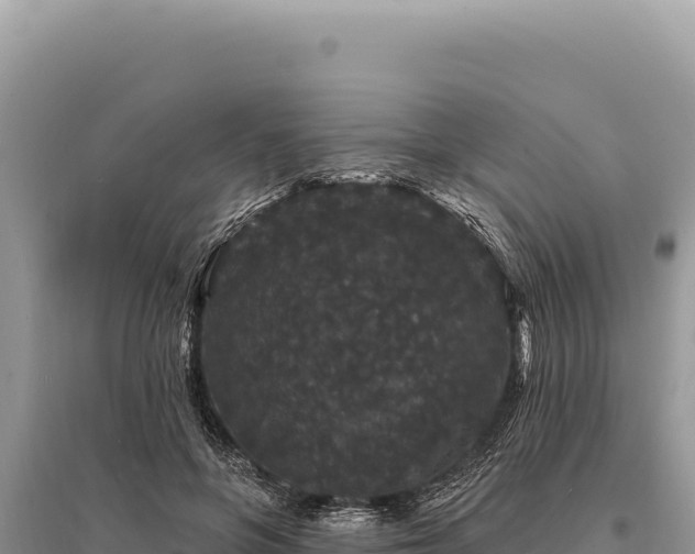 X0000095510551200712211242