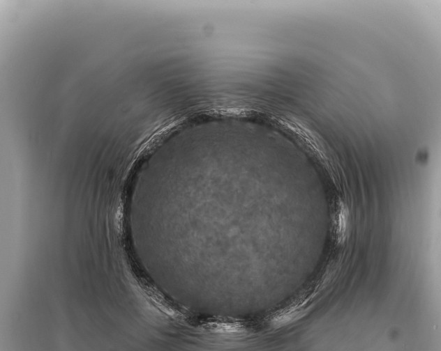 X0000095510552200712211242