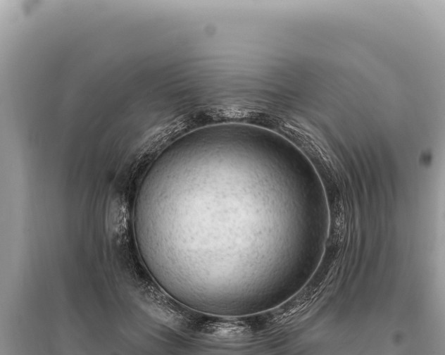 X0000095510555200712211242
