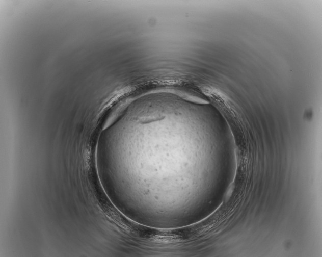 X0000095510556200712211242