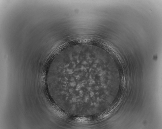 X0000095510557200712211242